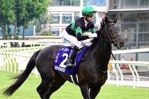 【香港競馬】ディープモンスターは不利受け惜しい3着…モレイラ「痛かったけど…」