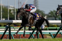 【日本ダービー登録馬】皐月賞馬ロブチェンなど20頭