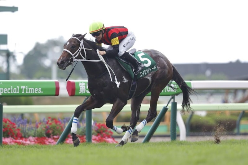 【葵S登録馬】エイシンディードなど22頭