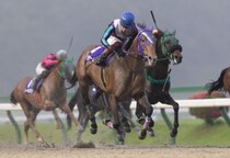 【盛岡・あすなろ賞】ラッキードリームが貫禄の勝利…笹川翼「気難しいけど力はある」