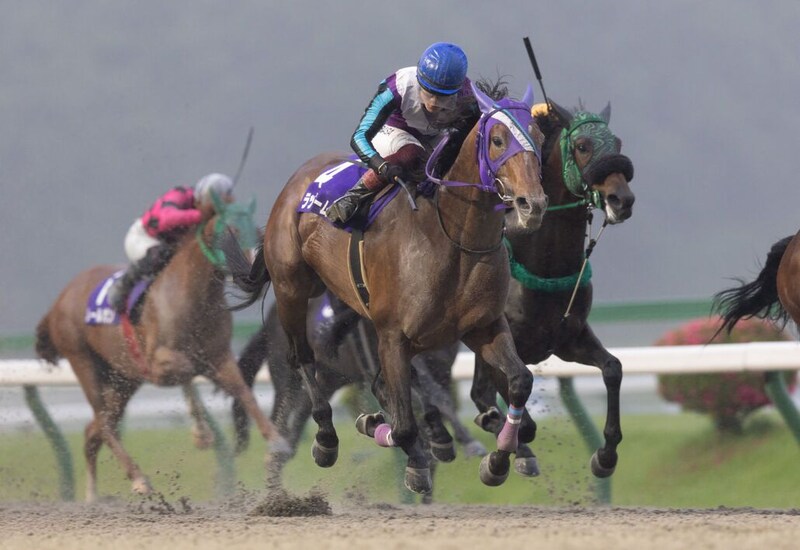【盛岡・あすなろ賞】ラッキードリームが貫禄の勝利…笹川翼「気難しいけど力はある」