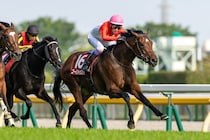 【武豊日記】37回目の挑戦