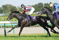 【日本ダービー】皐月賞馬・ロブチェンは530kg…出走馬の調教後の馬体重