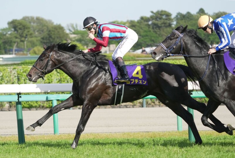 【日本ダービー】皐月賞馬・ロブチェンは530kg…出走馬の調教後の馬体重