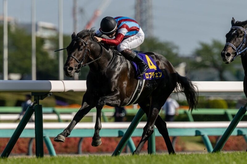 【日本ダービー】皐月賞馬ロブチェンは8枠17番へ