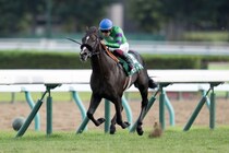 セットアップの登録抹消…乗馬に