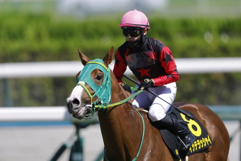 【鳳雛S】ホリエモン愛馬・イッテラッシャイが逃げ切りV…連勝でオープン初勝利