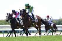【京都5R】サトノアグードが断然の支持に応える