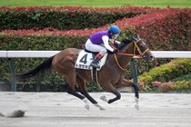 【東京5R】ディーマジェスティ産駒 トヨサカエが2勝目