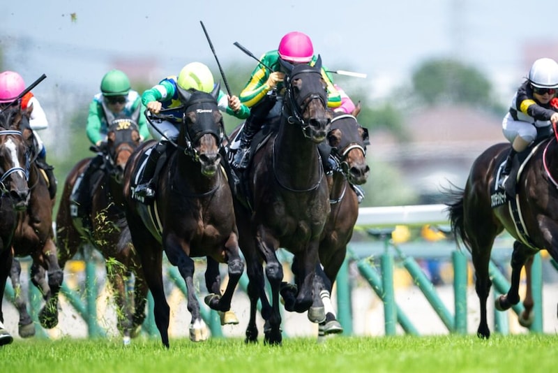 【青嵐賞】サトノパトリオットがゴール前差し返す…ハナ差の接戦を制する