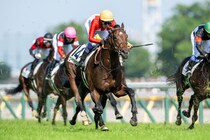 【日本ダービー】武豊騎手の“美しいジョッキーカメラ”映像が話題に…「ほーらほーら、お友達、お友達」と優しく声かけ