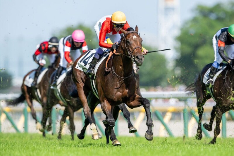【日本ダービー】武豊騎手の“美しいジョッキーカメラ”映像が話題に…「ほーらほーら、お友達、お友達」と優しく声かけ