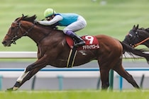 【安田記念登録馬】アドマイヤズームなど20頭