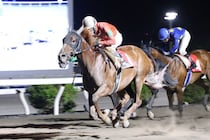 【高知・丸山台特別】ベルリネッタが差し切りV！人気馬撃破で準重賞初制覇