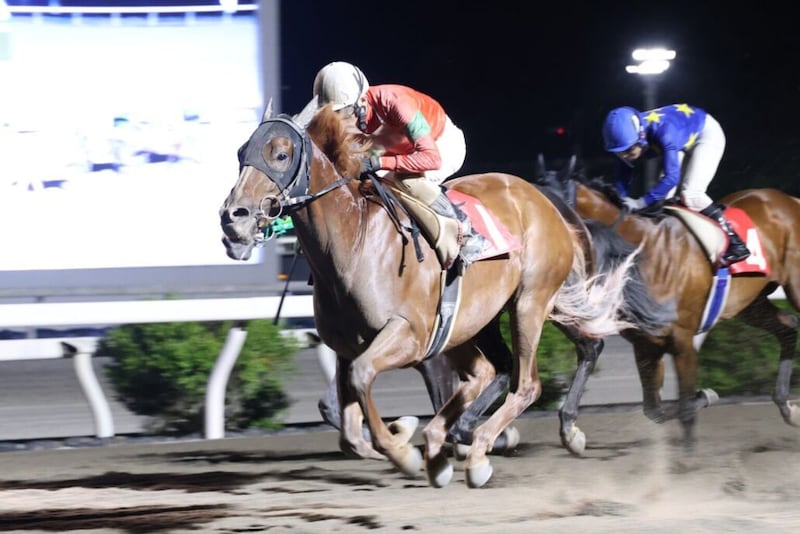【高知・丸山台特別】ベルリネッタが差し切りV！人気馬撃破で準重賞初制覇