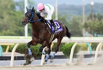 【水沢・東北優駿】レジェンドバローズ完勝！石川倭「世代トップレベル」…牝馬セイクリスティーナを撃破