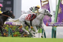 【安田記念】ガイアフォースは504kg…出走馬の調教後の馬体重