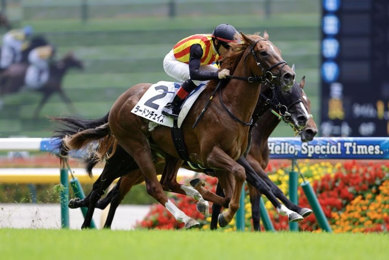 【新馬/東京4R】世代一番星はラードンチェイス、豪快差し切りで新馬V