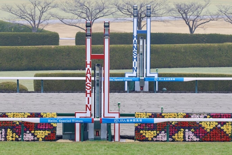 【城崎特別】ダービー抽選漏れのカフジエメンタールが快勝、自己条件で力示す