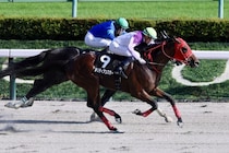 【麦秋S】ディー騎乗メリディアンスターが3連勝…着差以上の強さでオープン入り