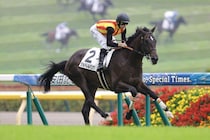 【新馬/東京5R】エフフォーリア産駒JRA初勝利！ジョドレルバンクが断然人気に応える