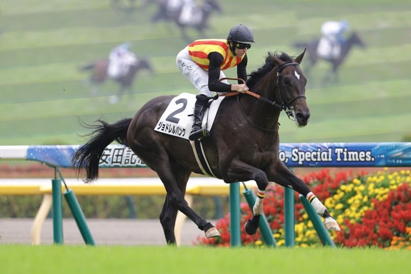 【新馬/東京5R】エフフォーリア産駒JRA初勝利!ジョドレルバンクが断然人気に応える