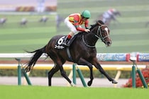 【香港JT】断然人気ゴーラッキーが完封、鮮やかな逃げ切りで3勝目
