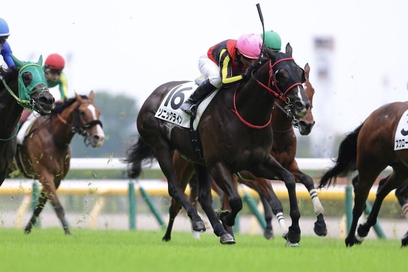 【東京8R】良血ソニックラインが2勝目をマーク…姉はソングライン