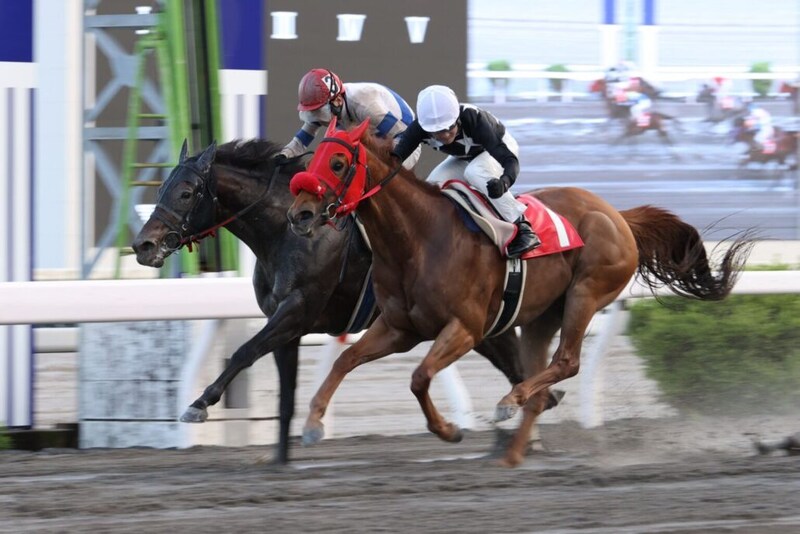 【高知・瀬戸特別】12歳馬グッドヒューマーが衰え知らずの逃走劇！宮川実も驚く鮮烈V