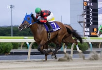 【水沢・早池峰賞】8歳ルコルセール健在、スプラウティングを競り落として勝利
