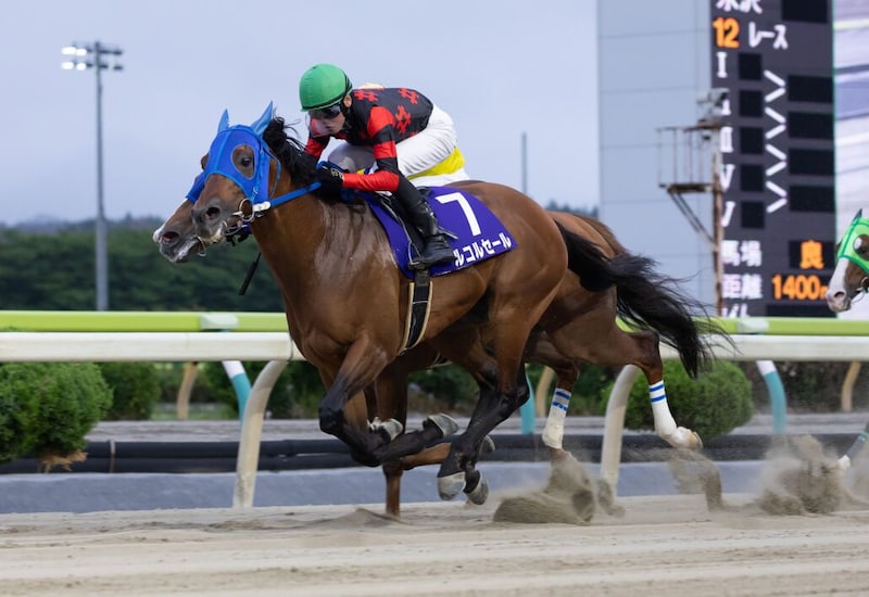 【水沢・早池峰賞】8歳ルコルセール健在、スプラウティングを競り落として勝利