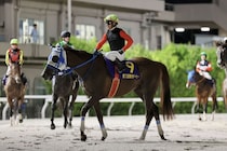 【東京ダービー】地方最先着は兵庫ゴッドフェンサー…吉村智「思っている以上に評価出来る内容」