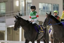【東京ダービー】西村淳「最後は苦しくなってしまった」ロックターミガンは4着まで