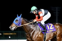 【東京ダービー】戸崎「三冠もありえる」フィンガーが鮮やか逃げ切りで二冠