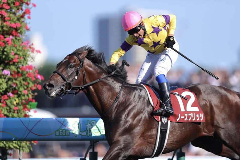 ノースブリッジの登録抹消…東京競馬場で乗馬に