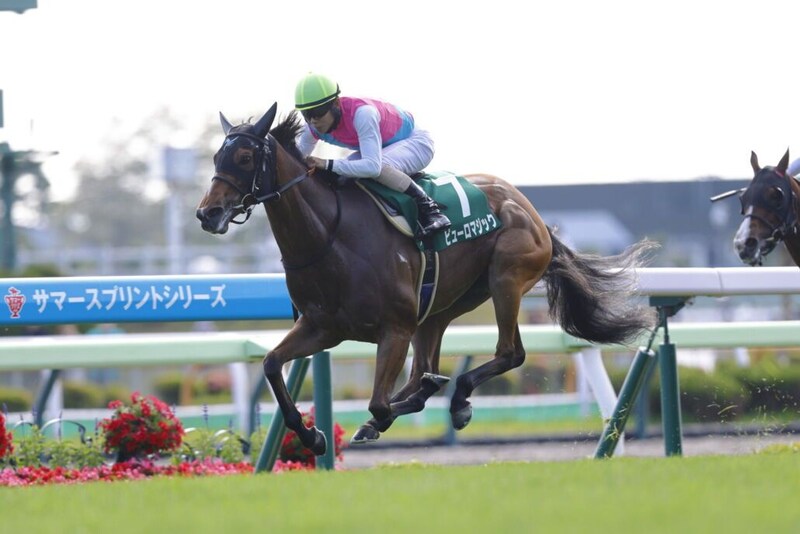 【函館SS】ピューロマジック鮮やか逃げ切りV…クラスペディアは競走除外