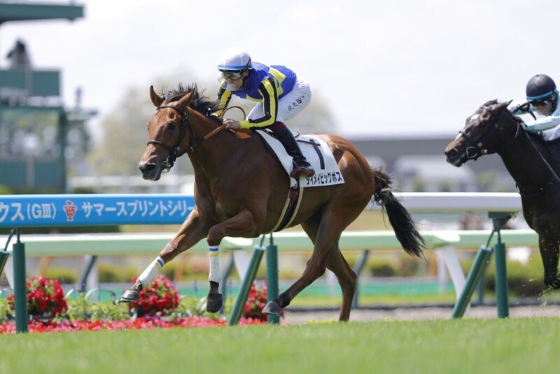 【新馬/函館5R】サートゥルナーリア産駒 ダイメイビッグボスがデビューV…余力十分の差し切り