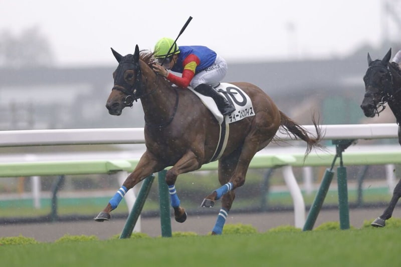 【函館1R】函館競馬開幕!オープニングレースは舟山瑠泉ディーズメンフィスがV