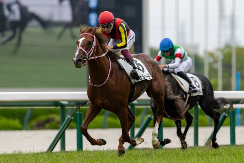 【阪神4R】チェルヴィニアの半弟・チェルヴァーラが初勝利、人気に応える快勝