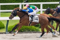 【阪神1R】11番人気アルビオンが波乱を演出…デムーロ騎手導く鮮烈差し切りV