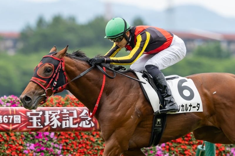 【新馬/阪神5R】エフフォーリア産駒インカルナータがデビューV…断然人気ダイナマイク敗れる