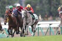 【府中牝馬S登録馬】コガネノソラなど19頭