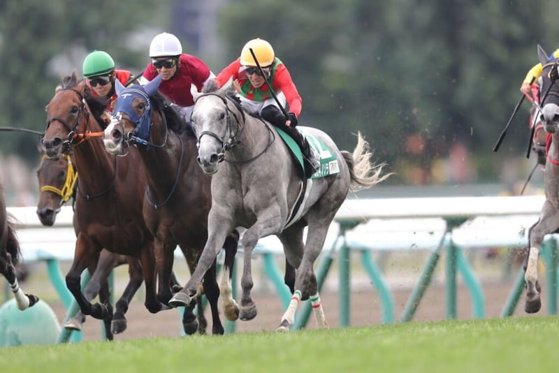 【府中牝馬S登録馬】コガネノソラなど19頭