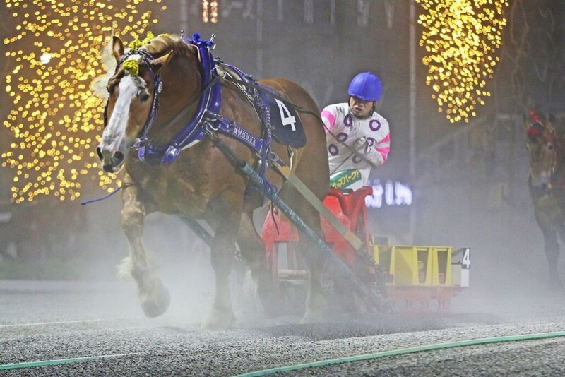 【ばんえい・北斗賞】ツガルノヒロイモノが悲願の重賞初制覇、19度目の挑戦で歓喜