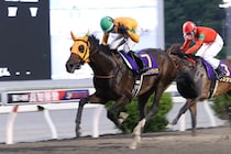 【高知優駿】単勝1.1倍カツテナイオイシサが堂々2冠、次なる目標は三冠制覇