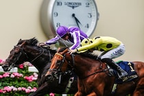 【レース動画】ボウエコーが無傷の5連勝…セントジェームズパレス