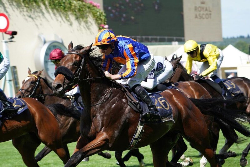 【キングチャールズ3世S】オブライエン師「ジ・エベレスト向きかも」…ミッションセントラルアタマ差V