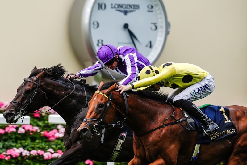 【セントジェームズパレスS】英2000ギニー馬ボウエコーが無傷5連勝…グスタードとの再戦制しG1・2勝目
