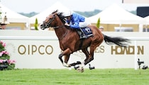【プリンスオブウェールズS】オンブズマンが4馬身差の圧勝！ダリズ、ミニーホークを完封