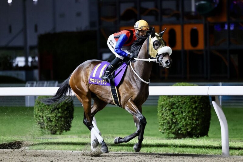 【関東オークス】佐賀サキドリトッケン、ダートで初の大敗…吉原「今日は走れていないです」